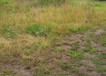 продам участок в Тульской обл. Веневский р-он с.Студенец