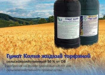 Гумат Калия жидкий торфяной от производителя.