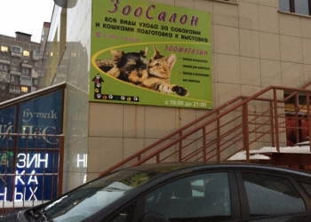 Ветеринарная клиника ЗАО