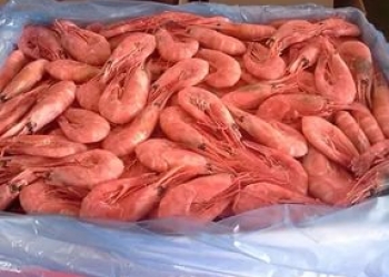 Креветки без глазури.(60-80)(90-120)
