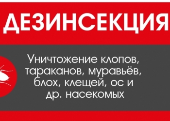Уничтожение клопов и тараканов с гарантией!