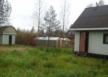 Дунай