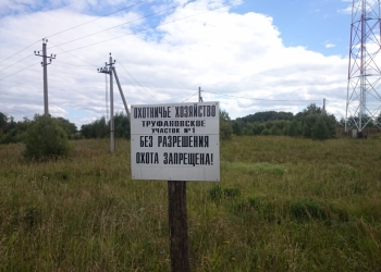Выгодный бизнес. Дачный поселок