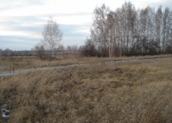 Земля у трассы М5 (87 км от Екатеринбурга по Челябинскому тр)