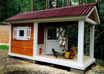 Красивый курятник для дачи
