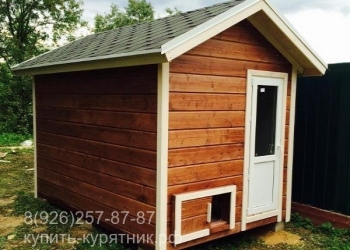 Красивый курятник для дачи