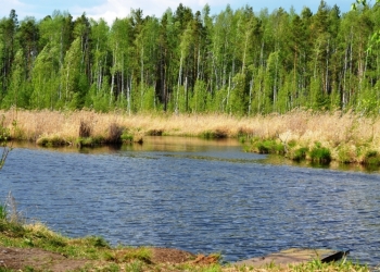 Участок в Ольховке 4,77 Га