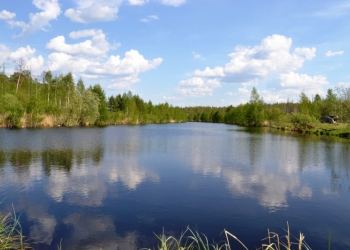 Участок в Ольховке 4,77 Га