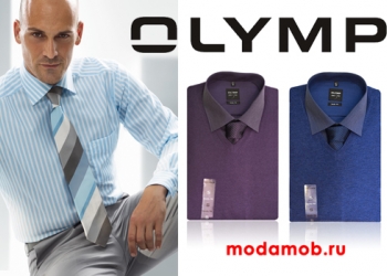 Брюки Meyer, Wegener, рубашки Olymp