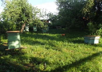 Продам дом 62 м2 д.Городное Железногорского р-на, недорого.