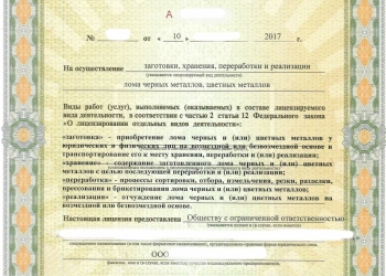Лицензия на лом и отходы