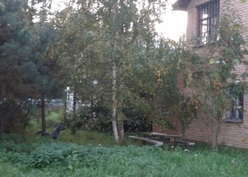 Дача 100 м2