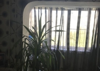Большая 3-к квартира, 84 м2, 4/10 эт.