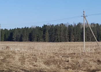 Замечательный участок в деревне Горки