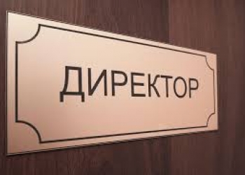 Временный руководитель
