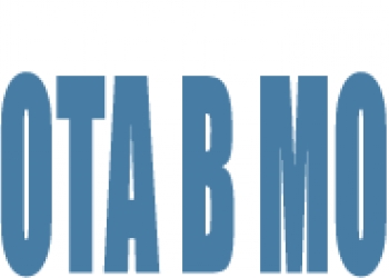 Временный руководитель