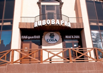 Паб для Пап "Сова"