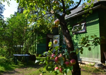 участок с домом