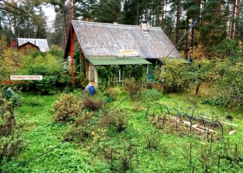 участок с домом