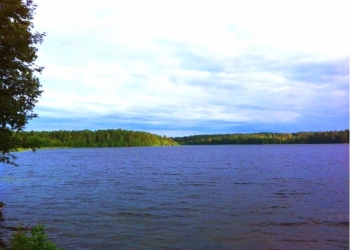 участок с домом