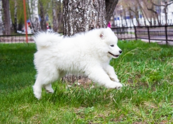 Продается