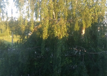 Продам земельный участок под строительство домов