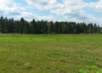 Продам 2 земельных участка по 20 соток каждый! Московская обл., Шаховской р-н