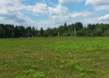 Продам 2 земельных участка по 20 соток каждый! Московская обл., Шаховской р-н