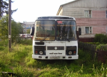 автобусы