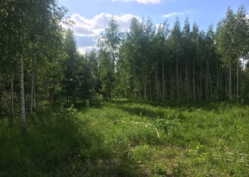Лучший участок рядом с Волгой