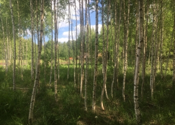 Лучший участок рядом с Волгой