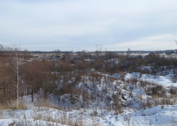 Участок 4,3 га с.Новый Милет (Балашиха, Железнодорожный)