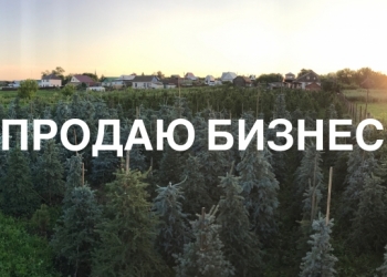 Готовый бизнес