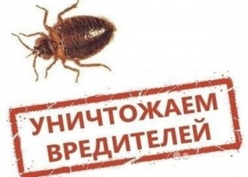 Уничтожим Тараканов, Клопов, Клещей, Грызунов и сорняков.