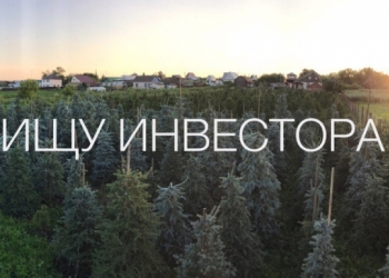 Доля в бизнесе