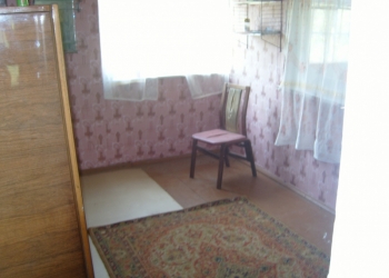 Дача в сосновом лесу