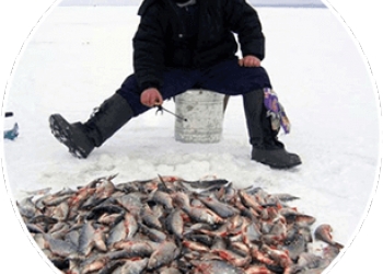 АКТИВАТОР КЛЁВА DOUBLE FISH