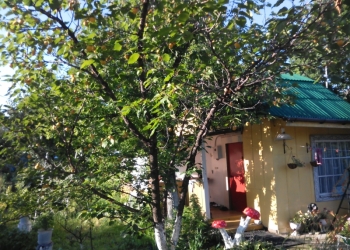 Продам дачу