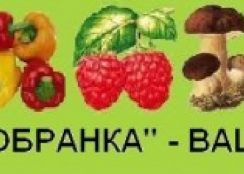 Инфракрасная сушилка электрическая Самобранка 50х50 дегидратор для сушки овощей