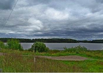 Участки для Родового поместья или дачи у большой воды в сосновом бору.
