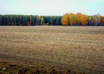 продажа земельного участка