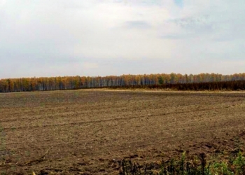 продажа земельного участка
