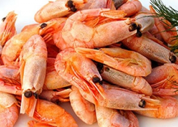 Оптовая торговля морепродуктами