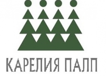 Закупаем балансы еловые