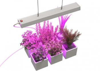 Светодиодный led фитосветильник Fito WST 03 01 фитолампа для цветов и рассады