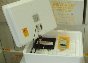 Домашний инкубатор на 36 яиц Несушка БИ 1М 220 В с автоматическим переворотом