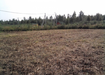 Продам участок 10 соток в СНТ «Лепсари»