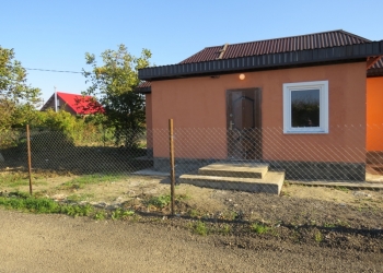Дом в Елизаветинской