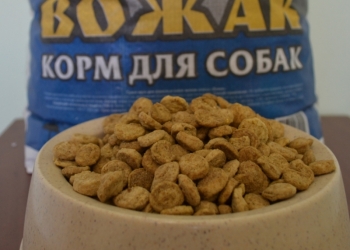 Сухой корм для взрослых собак эконом класса «Вожак»
