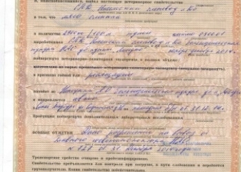 Мясо молодого северного оленя